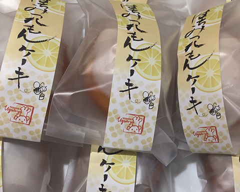 Local Delicacy -はちみつれもんケーキ-